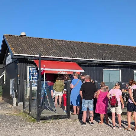 Vakantiehuis A Peaceful Retreat Close To Nature, The Coast, And Culture